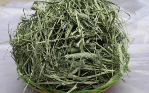 寵物兔常用乾牧草