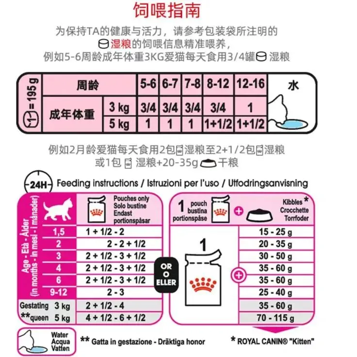 貓咪喂養指南